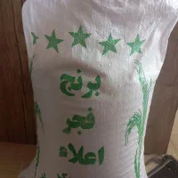 برنج شمال|خوردنی و آشامیدنی|قم, زاد|دیوار