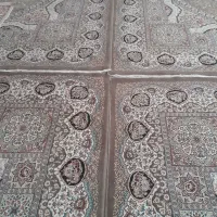 فرش12 متری|فرش|تربتحیدریه, پائین ولایت|دیوار