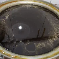 شیره خرما خالص