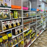 پت شاپ طوطی سانان (پرنده فروشی)|لوازم جانبی حیوانات|بابل, |دیوار