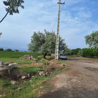 ویلایی . کارگاهی .گلخانه ای و غیره|فروش زمین و ملک کلنگی|خسروشاه, |دیوار