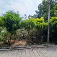 ولنجک برج۸۸متر۲خواب نوساز