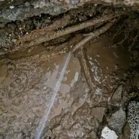 نشت یابی لوله آب|خدمات پیشه و مهارت|محمدشهر, محمدشهر|دیوار