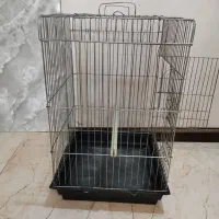 قفس عروس هلندی|لوازم جانبی حیوانات|تهران, چیتگر شمالی|دیوار