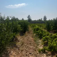 باغ دولت آباد|فروش خانه و ویلا|اصفهان, قلعه طبره|دیوار