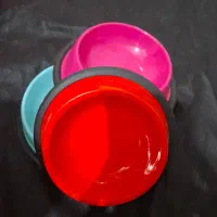 حراج واقعی محصولات پت شاپ|لوازم جانبی حیوانات|رشت, کاکتوس|دیوار