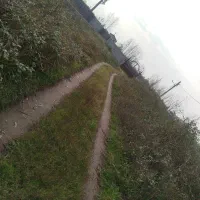 چمنزنی علفزنی لی زنی تمشک زنی