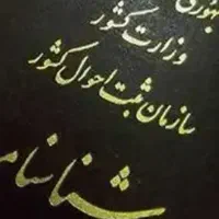 شناسنامه گم شده