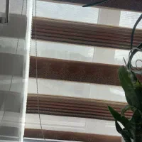 پرده زبرا