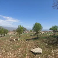 فروش باغ انگور،بادام وانجیر در منطقه دشمن زیاری