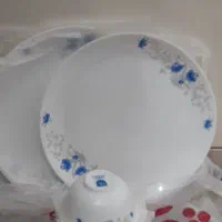 آرکوپال نو گل ابی باقیمت مناسب