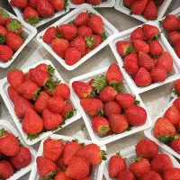 استخدام شبکار اقا میوه فروشی حقوق بالا|استخدام خدمات فروشگاه و رستوران|ایذه, |دیوار