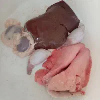 دلبندی کله پاچه بزغاله نر