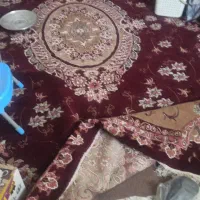 فرش ۱۲متری در حد نو