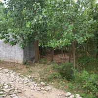 فروش زمین ۱۱۵۰ متری در احمد گوراب|فروش زمین و ملک کلنگی|رشت, احمد گوراب|دیوار