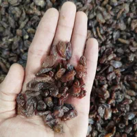 کشمش آبگیری|خوردنی و آشامیدنی|بومهن, |دیوار