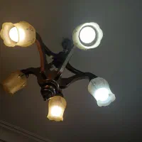 تعداد 7 عدد لوستر فروشی