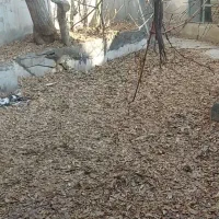 منزل-ویلایی-چسبیده-به-حرم-مطهر