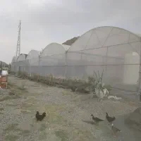 فروش گلخانه