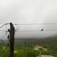 اجاره روزانه ویلا بوژان|اجارهٔ کوتاهمدت ویلا و باغ|نیشابور, فضل|دیوار