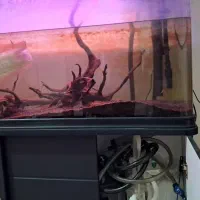 اکواریوم شرکتی درجه ۱ بدون میز|ماهی|اهواز, کوی فرهنگیان ۲|دیوار