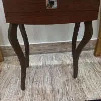 جاقاشقی ایستاده در حد نو