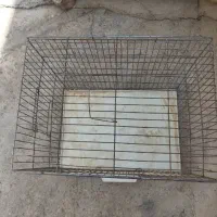فروش قفس|لوازم جانبی حیوانات|سقز, |دیوار