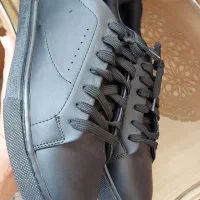 کفش|کیف، کفش، کمربند|کاشمر, |دیوار