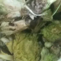 کنگر تمیز کیلو 150000 تومان