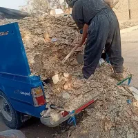 نون خشک