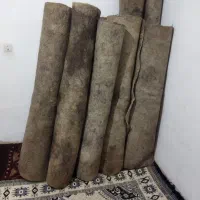 نمد مخصوص اسب