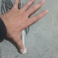 اکواریوم|ماهی|خوی, |دیوار