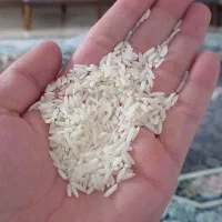 برنج هاشمی|خوردنی و آشامیدنی|رشت, منظریه|دیوار