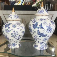 جینجر جار نو