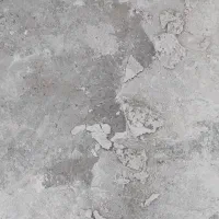 8.5قصب امام حسن