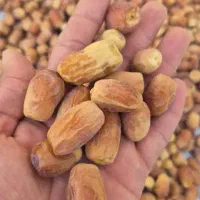 فروش خرمای زاهدی(قصب)|خوردنی و آشامیدنی|اسیر, |دیوار