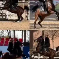 فروش اسب|اسب و تجهیزات اسب‌سواری|اصفهان, شهرک صنعتی جی|دیوار