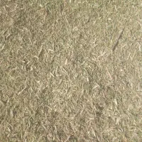 خارشتر نرم و دانه دار|لوازم جانبی حیوانات|نیشابور, ماروسک|دیوار