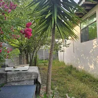 ویلاباغ810متری/سندتکبرگ/برجاده اصلی روستا|فروش خانه و ویلا|خشکبیجار, |دیوار