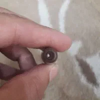 مهره بودایی|کلکسیون اشیاء عتیقه|مشهد, بالا خیابان|دیوار