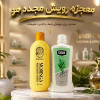 تونیک ضد ریزش و تقویت کننده مو هیر فرند