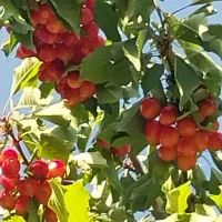 فروش ویلا نیمه تمام در آبسرد (دماوند)