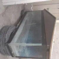 آکواریوم|ماهی|شیراز, محراب|دیوار