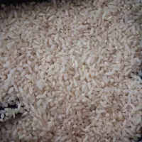برنج سالم وسرلاشه دورود با عطر و طعم و کیفیت خوب