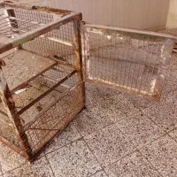 پایه کلولرابی ۳۵۰۰