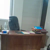 وکیل پایه یک دادگستری‌  (خانم وکیل)