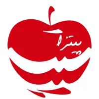 نیروی ساده اشپزخانه