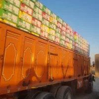 لواشک وگز به صورت عمده و خرده|عمده‌فروشی|سیمین شهر, |دیوار