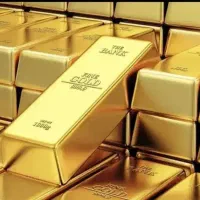 یک قطعه طلا (گوشواره ) پیدا شده