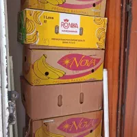 کارتن موز